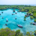 Vista aérea de un entorno natural con barcos en el agua