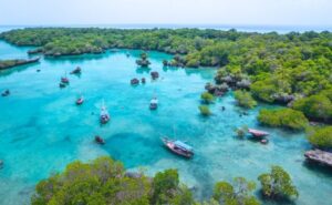 Vista aérea de un entorno natural con barcos en el agua